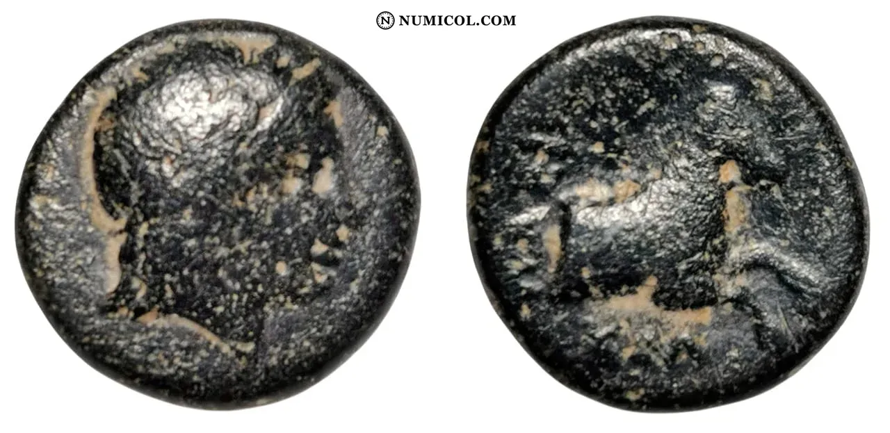 Moneda G70