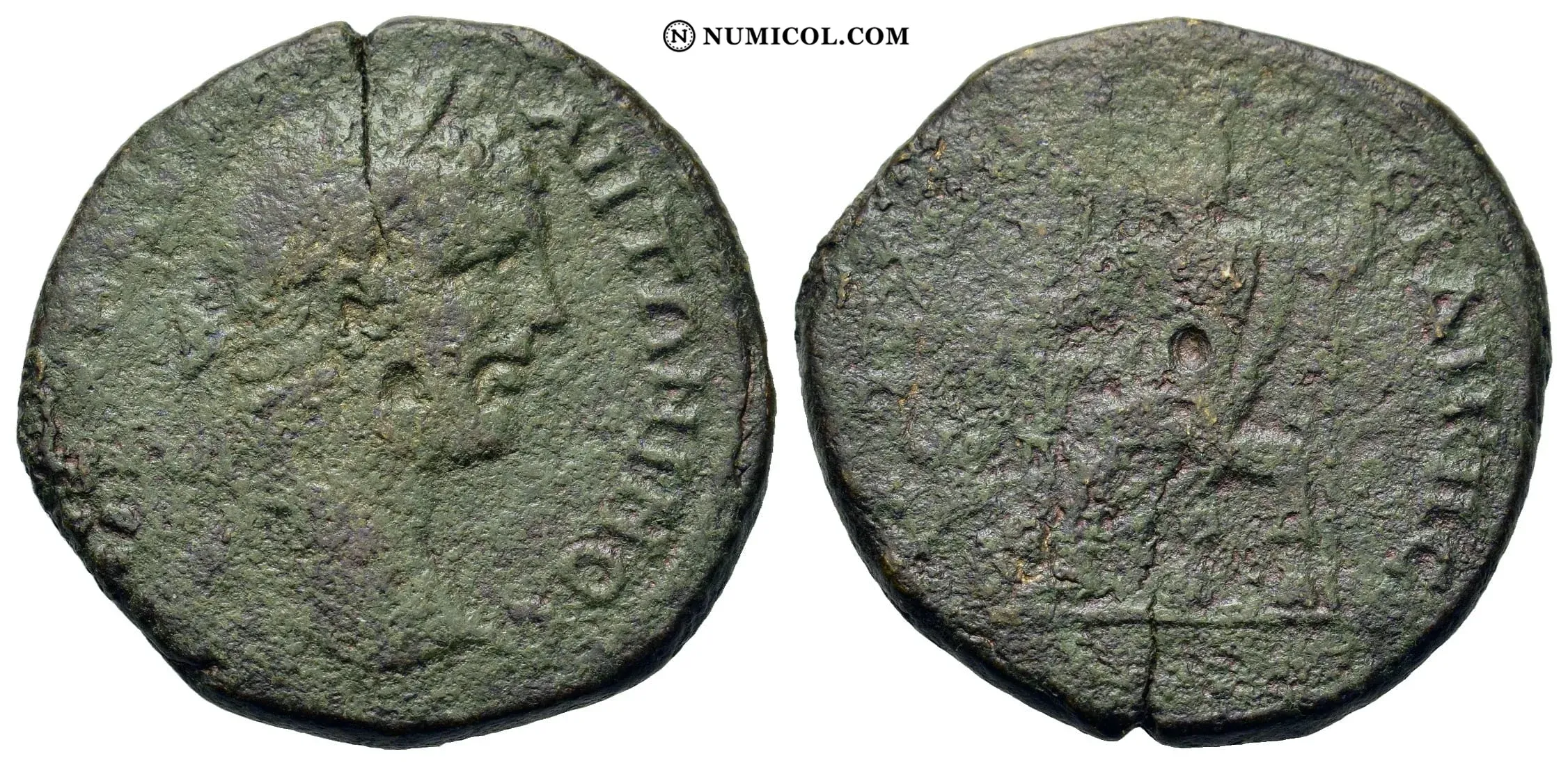 Moneda P22