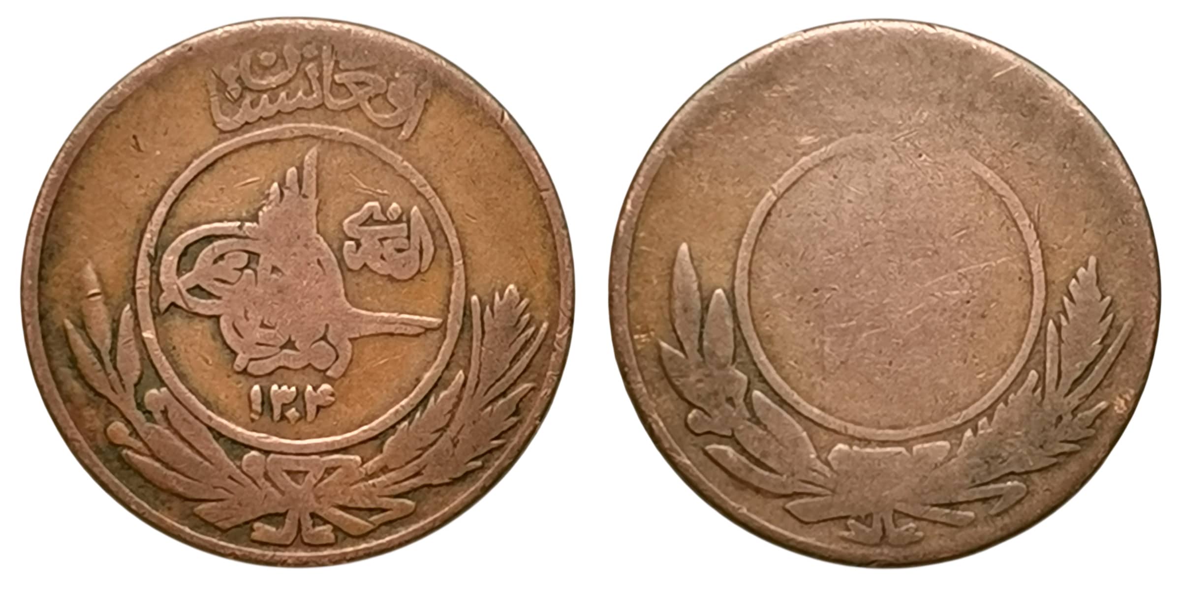 Moneda 20 Pul - Muhammed Nadir Shah
